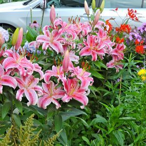 Meet your Posher, Bernadette